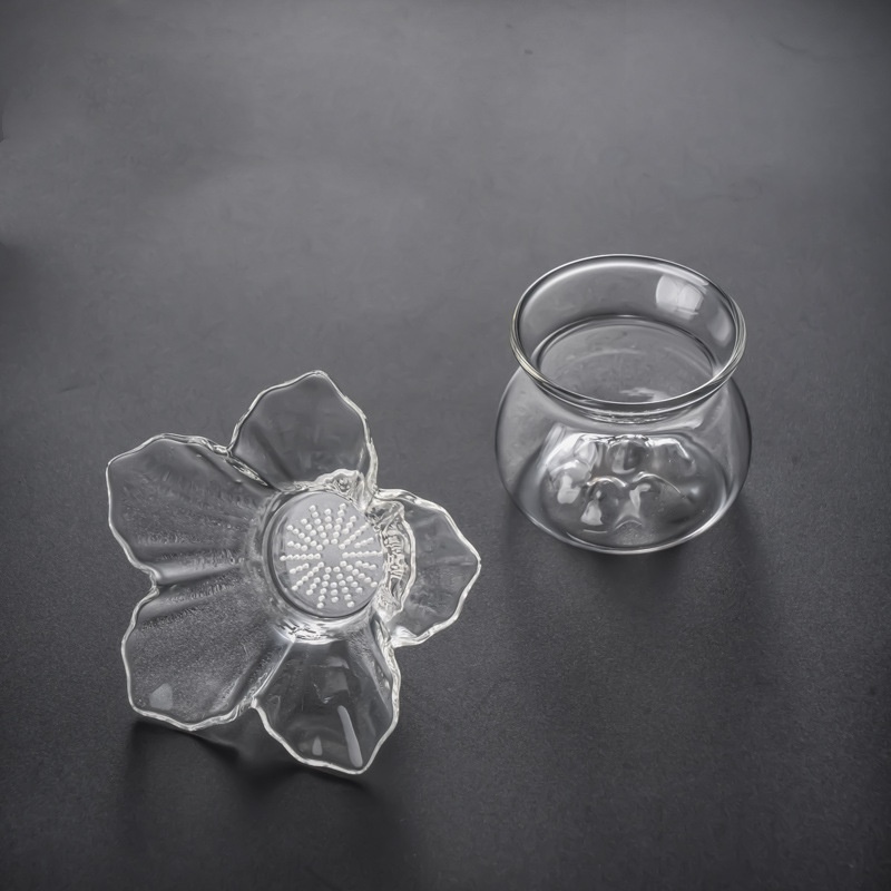 Glazen thee-ei met houder en s - Loose Leaf Tea Infuser recensie en prijs